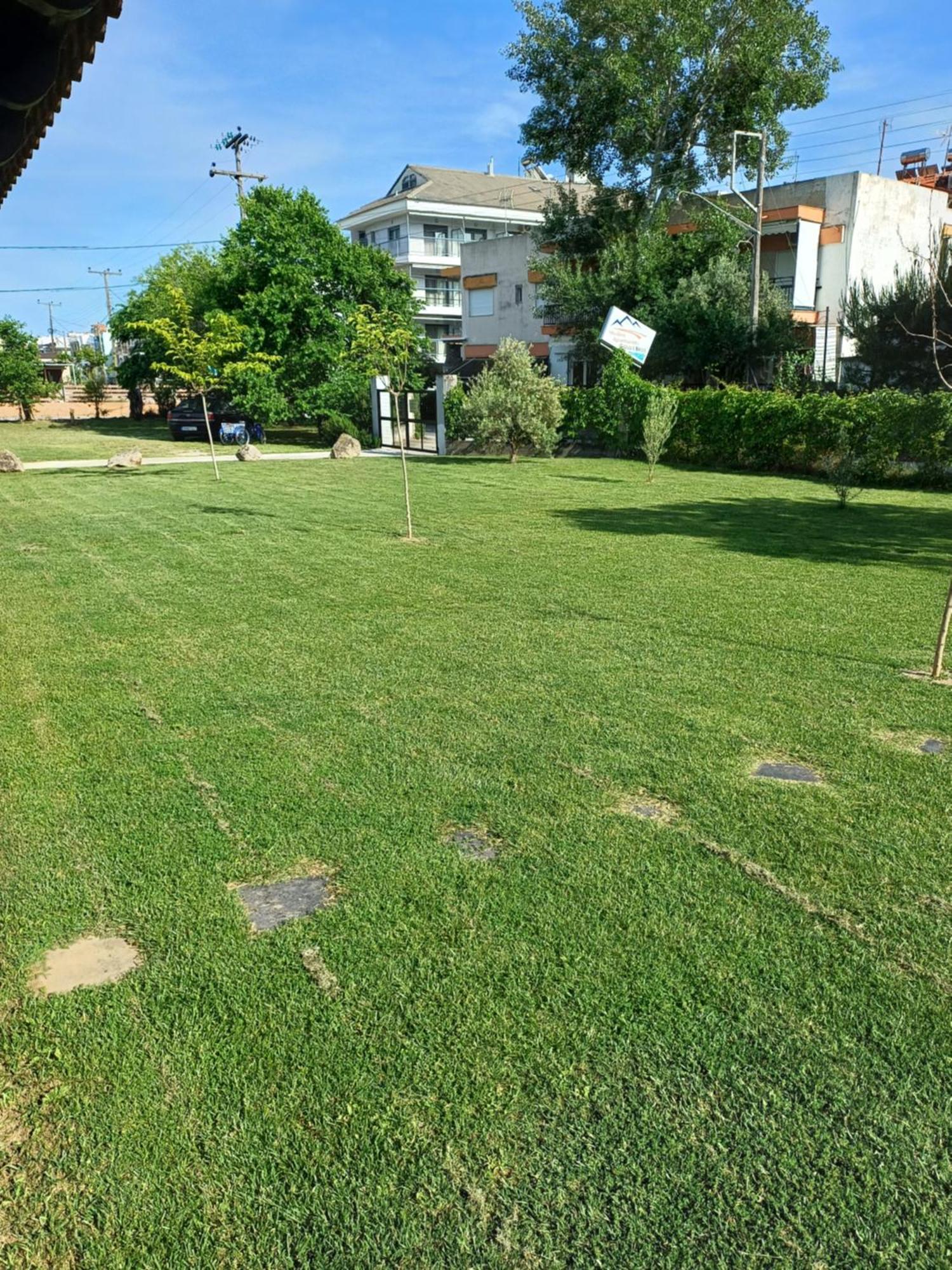 Gioulis Apartments & Studios نيا بلاجيا المظهر الخارجي الصورة